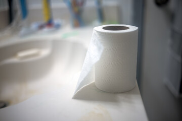 A roll of toilet paper, partially unraveled, sits on a bathroom counter with a blurred background.