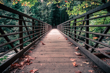 wood bridge in forest in autumn