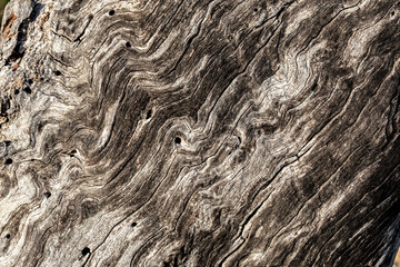 swirly abstract wood texture