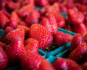 Macro photo of fresh strawberries in baskets 
