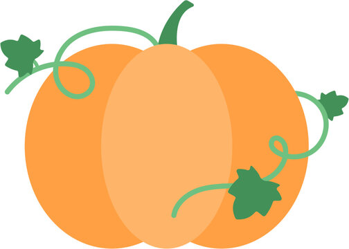 Fresh pumpkin with vines leaves flat style element