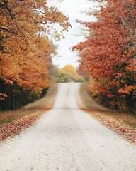 Obraz premium Serene Autumn Country Road with Golden and Red Foliage