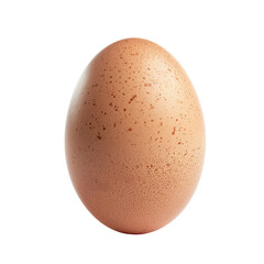 Single Brown Egg with Speckles on Smooth Surface.