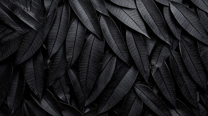 Obraz premium Black and White Tropical Leaf Texture Background