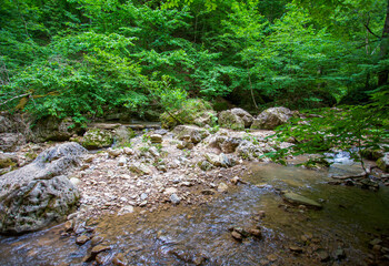 canyon of a river in the mountains, a riverbed with shallow water and stone figures