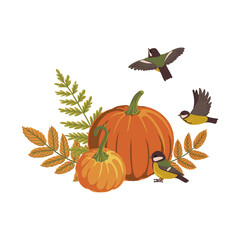 vector drawing orange pumpkin with birds and leaves, thanksgiving day composition isolated at white background, hand drawn illustration