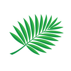 Palm leaf, showcasing its vibrant green color and intricate vein patterns isolated flat vector illustration on white background.