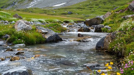A close-up of summer mountain terrain with alpine meadows and clear water streams