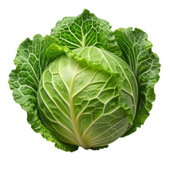 cabbage isolated on transparent background