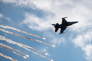 Fighter aircraft. © Tomasz Warszewski