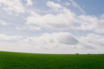 green field and blue sky