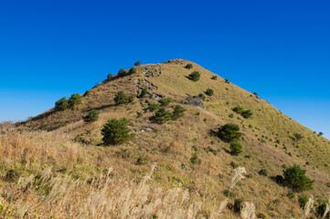 涌蓋山登山「登山道から望むみそこぶし山」