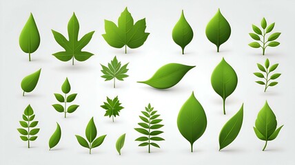 collection of green leaves