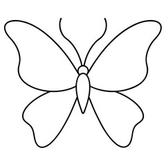     Butterfly vector illustration.
