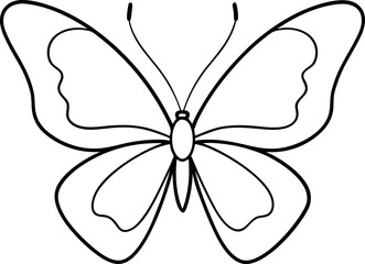     Butterfly vector illustration.
