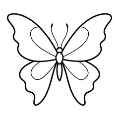     Butterfly vector illustration.
