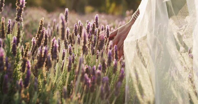 Field, bride and wedding with love, ceremony and walking with nature, plants and sunshine. Person, woman and girl with a dress, lavender and commitment with sunlight, outdoor and romance with freedom