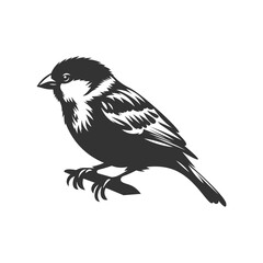 Silhouette of sparrow. Black vector art, charm of wildlife  bird art design.