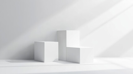 White Cube Display.