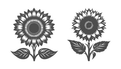 Black silhouette of a sunflower, great for floral designs, nature-inspired artwork, and botanical theme