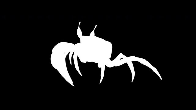 3d Illustration of a Fiddler crab. a strong carapace for protection and a giant orange claw as a weapon for defense, isolate on Green background with alpha channel.