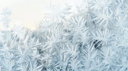 Frozen Windowpane with Delicate Ice Crystal Patterns