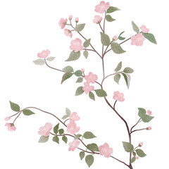 Illustration of delicate branch of light pink flowers with green leaves,watercolor style.