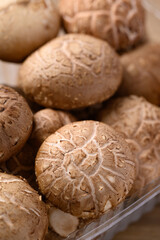 Fresh shiitake mushroom, edible mushroom and food ingredient in Asian cuisine