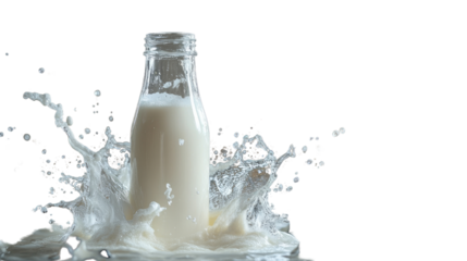 splash of milk in bottle isolated on white background 