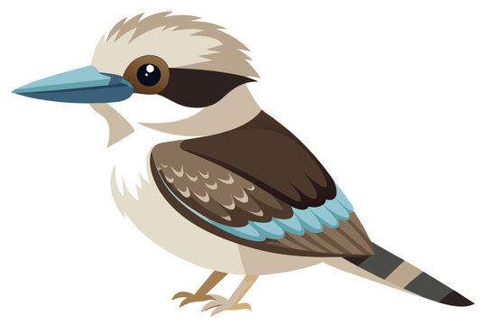 recommend clip art: kookaburra Bird  vector art and illustration