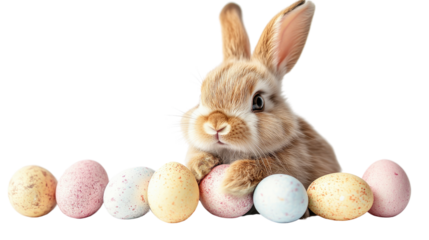 easter bunny with eggs isolated on white background 