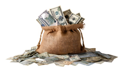 money in a bag isolated on white background