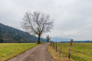 A small country road in Winter, in the French Savoy area.