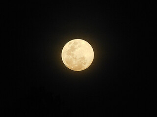 Full moon at night
