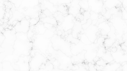 Marble granite white panorama background wall surface black pattern graphic. Natural white marble stone texture.