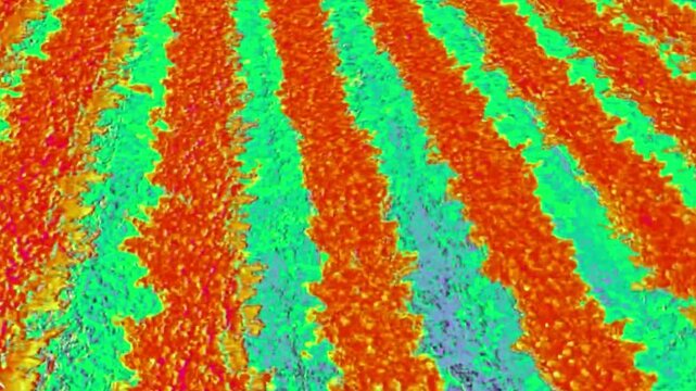 Multispectral images generated with DJI multispectral drone of vineyard fields, Rigth lateral travelling middle plane
