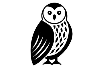 owl on white background