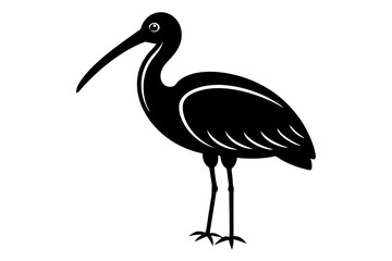 illustration of a stork