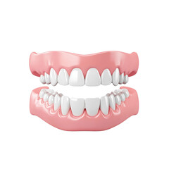 Obraz premium Realistic dental model portraying human teeth and gums for education