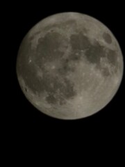 moon in the night