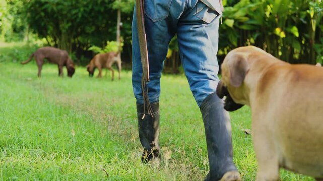 Campesino o trabajador del campo de la costa colombiana, cultivador de mata de yuca, tuberculo o raiz.  vestimenta de finca o campo con sombrero vueltiao, con machete, botas pantaneras y perro fiel.