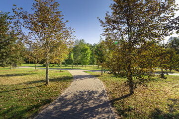 A park with a path and trees