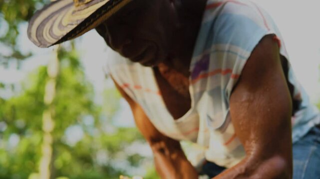 Campesino o trabajador del campo de la costa colombiana, cultivador de mata de yuca, tuberculo o raiz.  vestimenta de finca o campo con sombrero vueltiao, con machete, botas pantaneras y perro fiel.