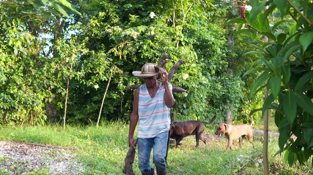Campesino o trabajador del campo de la costa colombiana, cultivador de mata de yuca, tuberculo o raiz.  vestimenta de finca o campo con sombrero vueltiao, con machete, botas pantaneras y perro fiel.