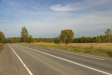 Fototapeta premium A road with a tree in the middle of it