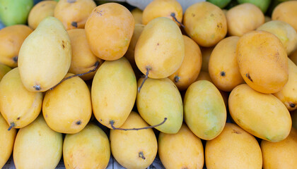 Many ripe mangoes for sale