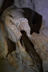 Cave in the limestone mountains