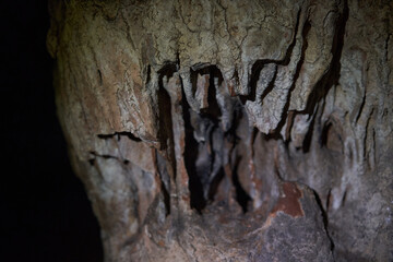 Cave in the limestone mountains