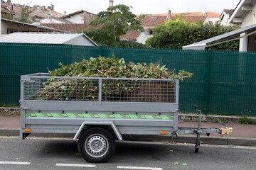 metal car trailer filled with green plant waste from garden pruning and mowing on residential...