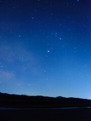 Scorpio, the first magnitude star Antares